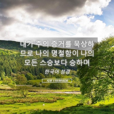Picture 05 - 시편 119:99 KOR - 내가 주의 증거를 묵상하므로 나의 - Bible Verse Picture