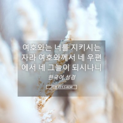 Picture 05 - 시편 121:5 KOR - 여호와는 너를 지키시는 자라 - Bible Verse Picture