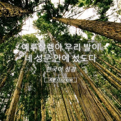 Picture 05 - 시편 122:2 KOR - 예루살렘아 우리 발이 네 성문 안에 - Bible Verse Picture