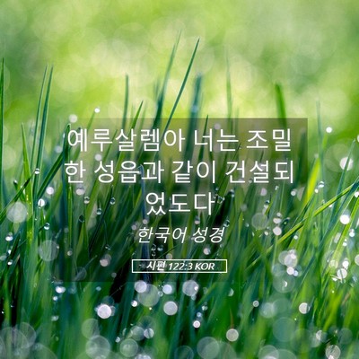 Picture 05 - 시편 122:3 KOR - 예루살렘아 너는 조밀한 성읍과 같이 - Bible Verse Picture