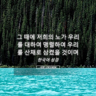 Picture 05 - 시편 124:3 KOR - 그 때에 저희의 노가 우리를 대하여 - Bible Verse Picture