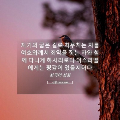 Picture 05 - 시편 125:5 KOR - 자기의 굽은 길로 치우치는 자를 - Bible Verse Picture