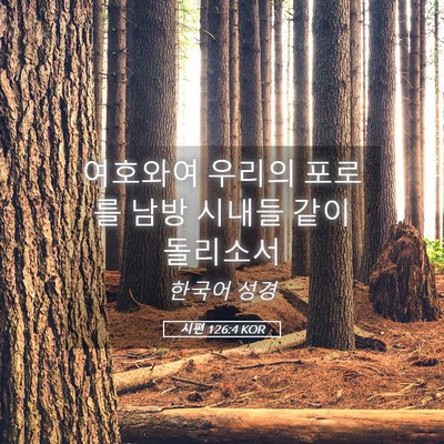 Picture 05 - 시편 126:4 KOR - 여호와여 우리의 포로를 남방 시내들 - Bible Verse Picture