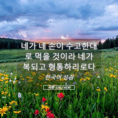 Picture 05 - 시편 128:2 KOR - 네가 네 손이 수고한대로 먹을 - Bible Verse Picture