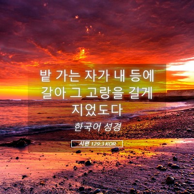 Picture 05 - 시편 129:3 KOR - 밭 가는 자가 내 등에 갈아 그 고랑을 - Bible Verse Picture