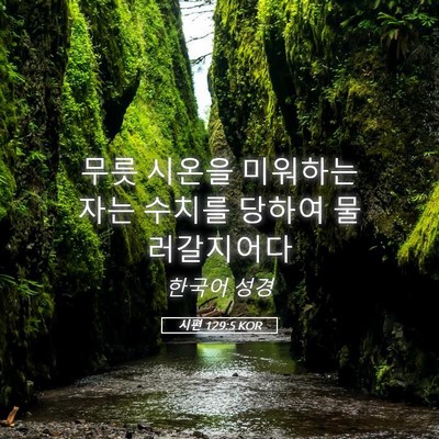 Picture 05 - 시편 129:5 KOR - 무릇 시온을 미워하는 자는 수치를 - Bible Verse Picture