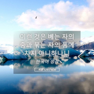 Picture 05 - 시편 129:7 KOR - 이런 것은 베는 자의 줌과 묶는 자의 - Bible Verse Picture