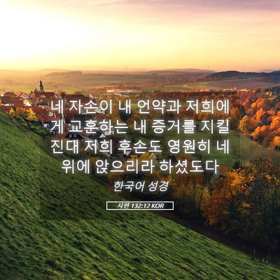 Picture 05 - 시편 132:12 KOR - 네 자손이 내 언약과 저희에게 - Bible Verse Picture