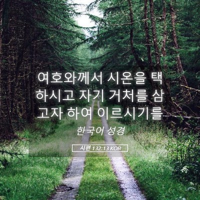 Picture 05 - 시편 132:13 KOR - 여호와께서 시온을 택하시고 자기 - Bible Verse Picture