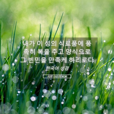 Picture 05 - 시편 132:15 KOR - 내가 이 성의 식료품에 풍족히 복을 - Bible Verse Picture