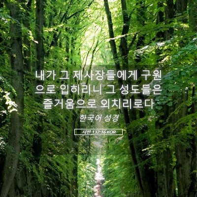 Picture 05 - 시편 132:16 KOR - 내가 그 제사장들에게 구원으로 - Bible Verse Picture