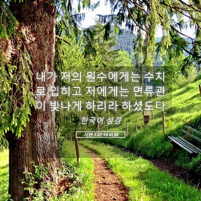Picture 05 - 시편 132:18 KOR - 내가 저의 원수에게는 수치로 입히고 - Bible Verse Picture