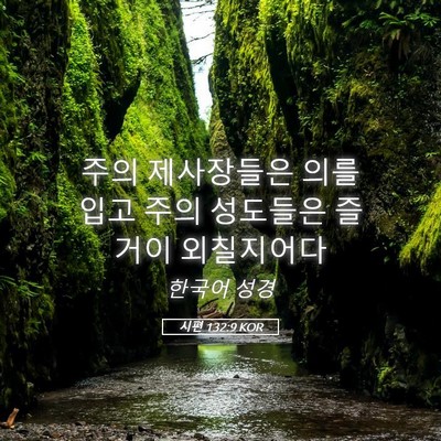 Picture 05 - 시편 132:9 KOR - 주의 제사장들은 의를 입고 주의 - Bible Verse Picture