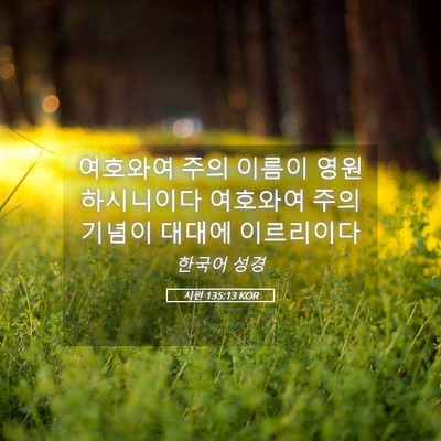 Picture 05 - 시편 135:13 KOR - 여호와여 주의 이름이 - Bible Verse Picture