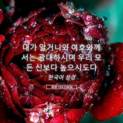 Picture 05 - 시편 135:5 KOR - 내가 알거니와 여호와께서는 - Bible Verse Picture