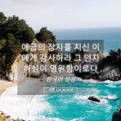 Picture 05 - 시편 136:10 KOR - 애굽의 장자를 치신 이에게 감사하라 - Bible Verse Picture