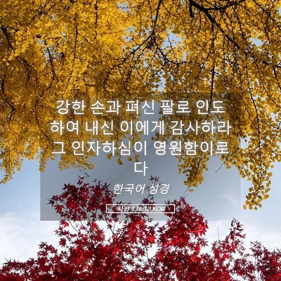 Picture 05 - 시편 136:12 KOR - 강한 손과 펴신 팔로 인도하여 내신 - Bible Verse Picture