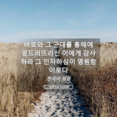 Picture 05 - 시편 136:15 KOR - 바로와 그 군대를 홍해에 - Bible Verse Picture