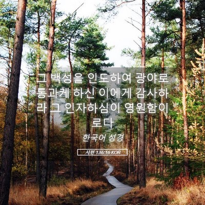 Picture 05 - 시편 136:16 KOR - 그 백성을 인도하여 광야로 통과케 - Bible Verse Picture