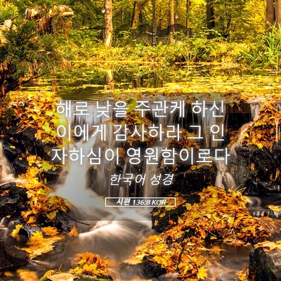 Picture 05 - 시편 136:8 KOR - 해로 낮을 주관케 하신 이에게 - Bible Verse Picture