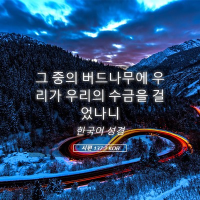 Picture 05 - 시편 137:2 KOR - 그 중의 버드나무에 우리가 우리의 - Bible Verse Picture