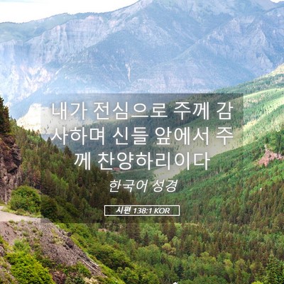 Picture 05 - 시편 138:1 KOR - 내가 전심으로 주께 감사하며 신들 - Bible Verse Picture