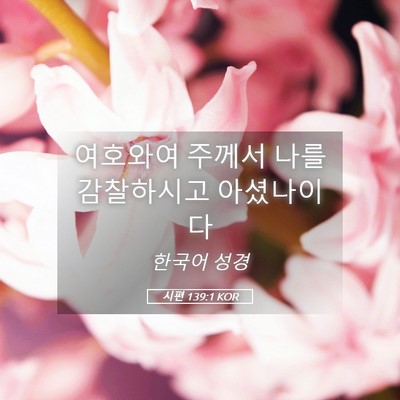Picture 05 - 시편 139:1 KOR - 여호와여 주께서 나를 감찰하시고 - Bible Verse Picture