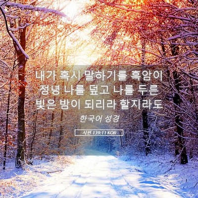 Picture 05 - 시편 139:11 KOR - 내가 혹시 말하기를 흑암이 정녕 - Bible Verse Picture