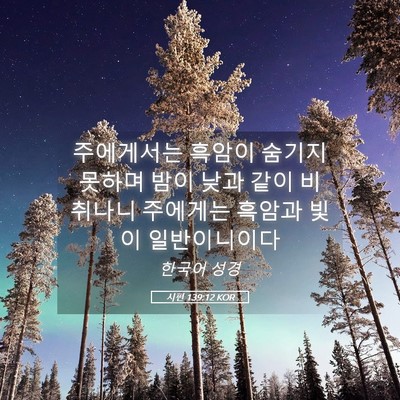Picture 05 - 시편 139:12 KOR - 주에게서는 흑암이 숨기지 못하며 - Bible Verse Picture