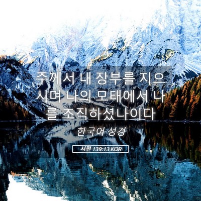 Picture 05 - 시편 139:13 KOR - 주께서 내 장부를 지으시며 나의 - Bible Verse Picture