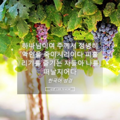 Picture 05 - 시편 139:19 KOR - 하나님이여 주께서 정녕히 악인을 - Bible Verse Picture