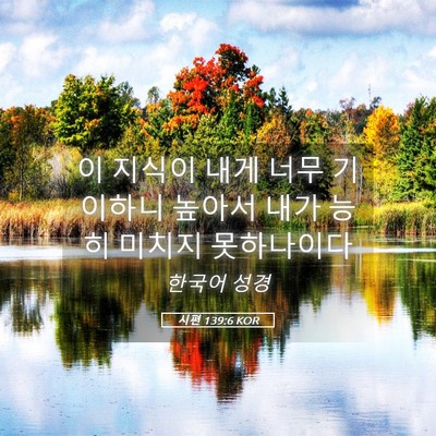Picture 05 - 시편 139:6 KOR - 이 지식이 내게 너무 기이하니 - Bible Verse Picture