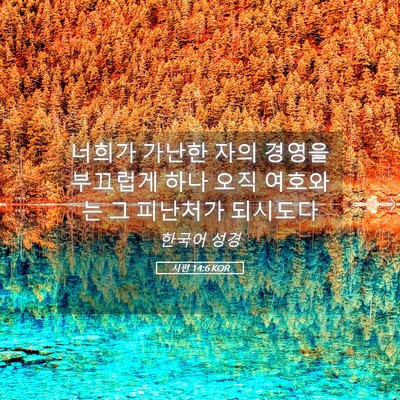 Picture 05 - 시편 14:6 KOR - 너희가 가난한 자의 경영을 부끄럽게 - Bible Verse Picture