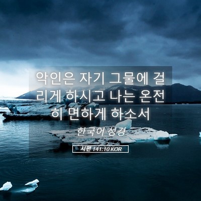 Picture 05 - 시편 141:10 KOR - 악인은 자기 그물에 걸리게 하시고 - Bible Verse Picture