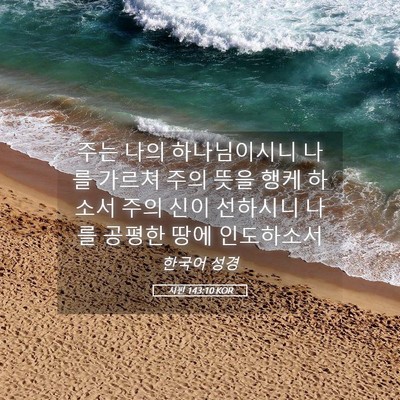 Picture 05 - 시편 143:10 KOR - 주는 나의 하나님이시니 나를 가르쳐 - Bible Verse Picture