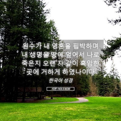 Picture 05 - 시편 143:3 KOR - 원수가 내 영혼을 핍박하며 내 - Bible Verse Picture