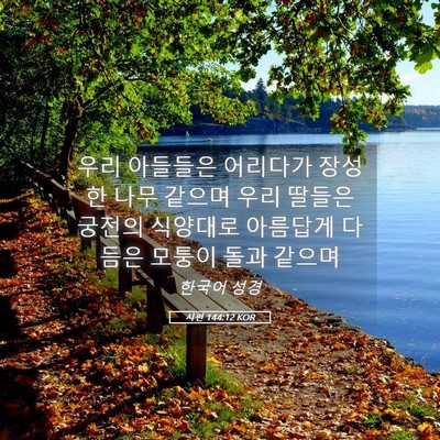 Picture 05 - 시편 144:12 KOR - 우리 아들들은 어리다가 장성한 나무 - Bible Verse Picture