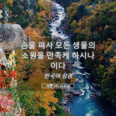 Picture 05 - 시편 145:16 KOR - 손을 펴사 모든 생물의 소원을 - Bible Verse Picture