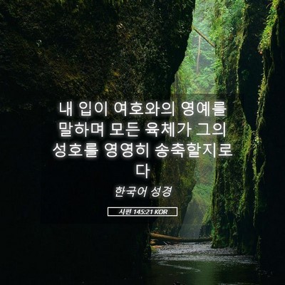 Picture 05 - 시편 145:21 KOR - 내 입이 여호와의 영예를 말하며 - Bible Verse Picture