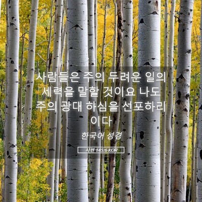 Picture 05 - 시편 145:6 KOR - 사람들은 주의 두려운 일의 세력을 - Bible Verse Picture