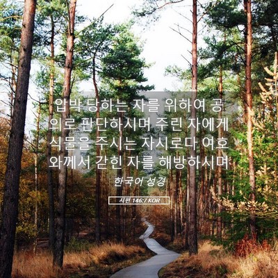 Picture 05 - 시편 146:7 KOR - 압박 당하는 자를 위하여 공의로 - Bible Verse Picture