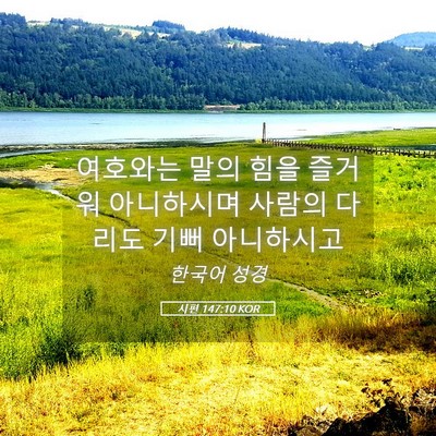 Picture 05 - 시편 147:10 KOR - 여호와는 말의 힘을 즐거워 - Bible Verse Picture