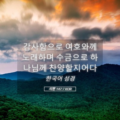 Picture 05 - 시편 147:7 KOR - 감사함으로 여호와께 노래하며 - Bible Verse Picture