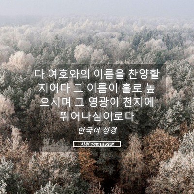 Picture 05 - 시편 148:13 KOR - 다 여호와의 이름을 찬양할지어다 그 - Bible Verse Picture