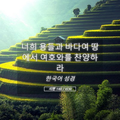 Picture 05 - 시편 148:7 KOR - 너희 용들과 바다여 땅에서 여호와를 - Bible Verse Picture