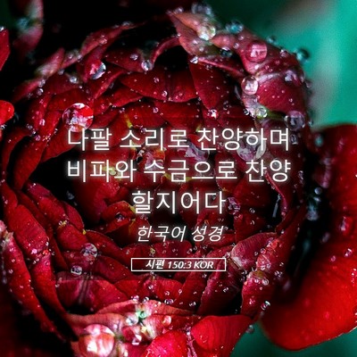 Picture 05 - 시편 150:3 KOR - 나팔 소리로 찬양하며 비파와 - Bible Verse Picture