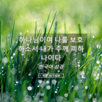 Picture 05 - 시편 16:1 KOR - 하나님이여 나를 보호하소서 내가 - Bible Verse Picture