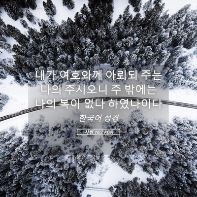 Picture 05 - 시편 16:2 KOR - 내가 여호와께 아뢰되 주는 나의 - Bible Verse Picture