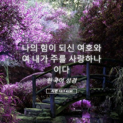 Picture 05 - 시편 18:1 KOR - 나의 힘이 되신 여호와여 내가 주를 - Bible Verse Picture