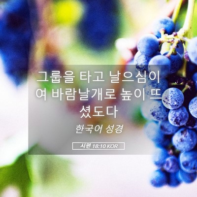 Picture 05 - 시편 18:10 KOR - 그룹을 타고 날으심이여 바람날개로 - Bible Verse Picture